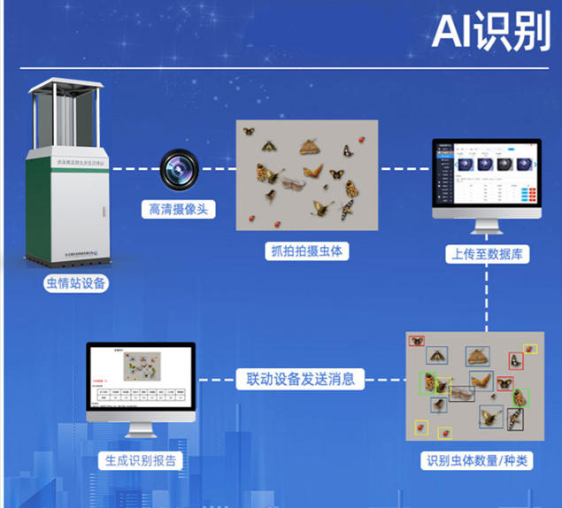 推桿式蟲(chóng)情測(cè)報(bào)燈-(2).jpg