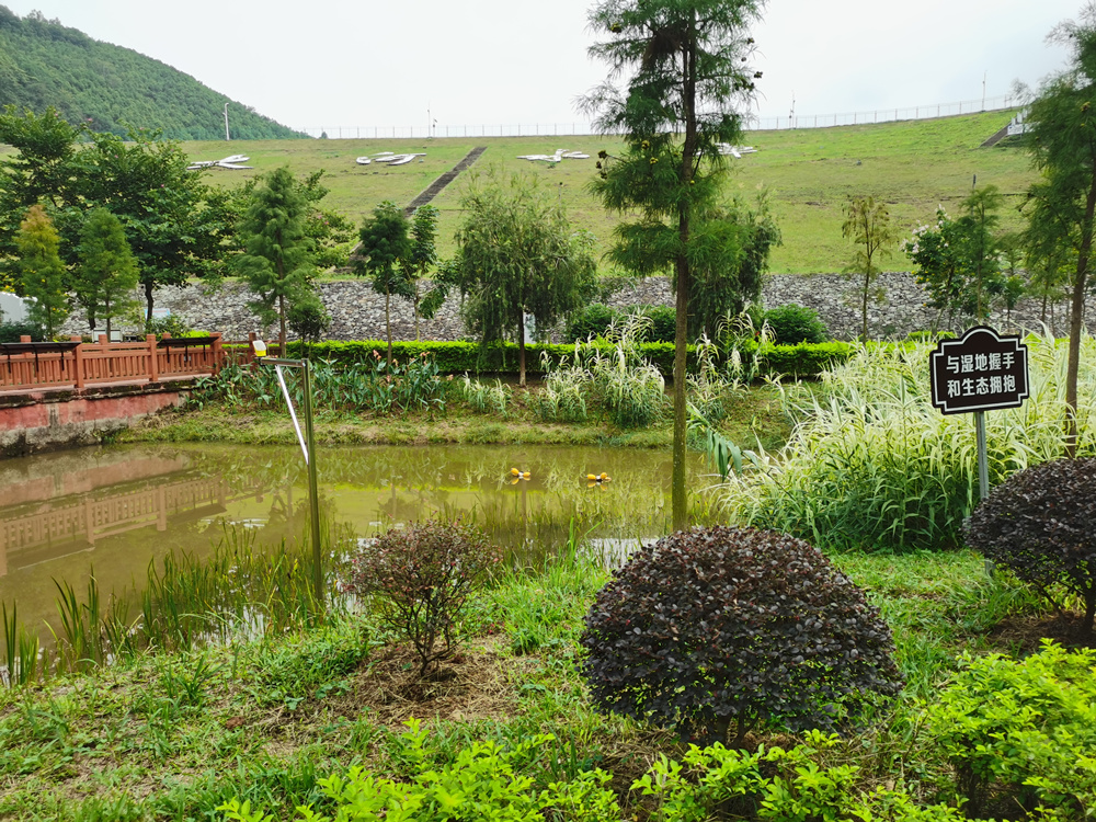 廣東金銀河水庫國家濕地公園生態(tài)修復(fù)工程項目